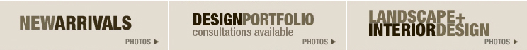 New Arrivals | Design Porfolio | Showroom Gallery